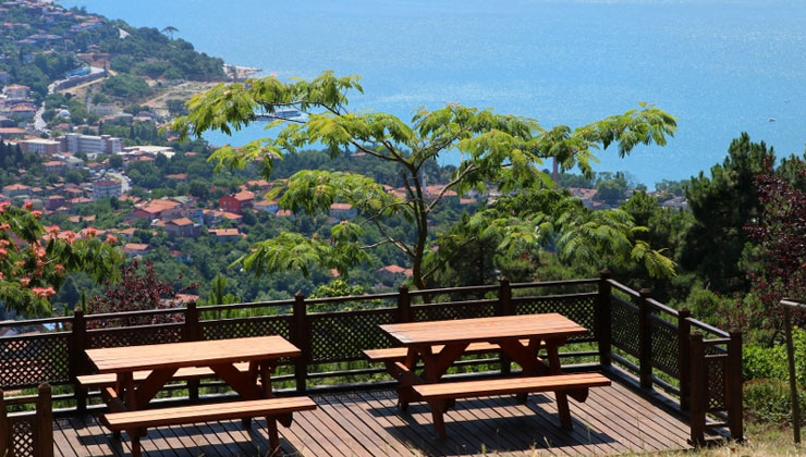 Beykoz Karlıtepe Orman Parkı 10 yıllığına kiraya verilecek