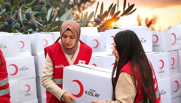 Kızılay Ayvalık’ta 3 zeytinliği 34,75 milyon TL’ye satışa çıkarıyor