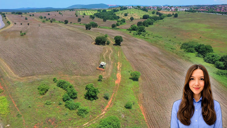 Çanakkale’de toprak yarışı: Zeytinlikler 3.500 TL’yi gördü